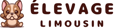 Élevage Limousin