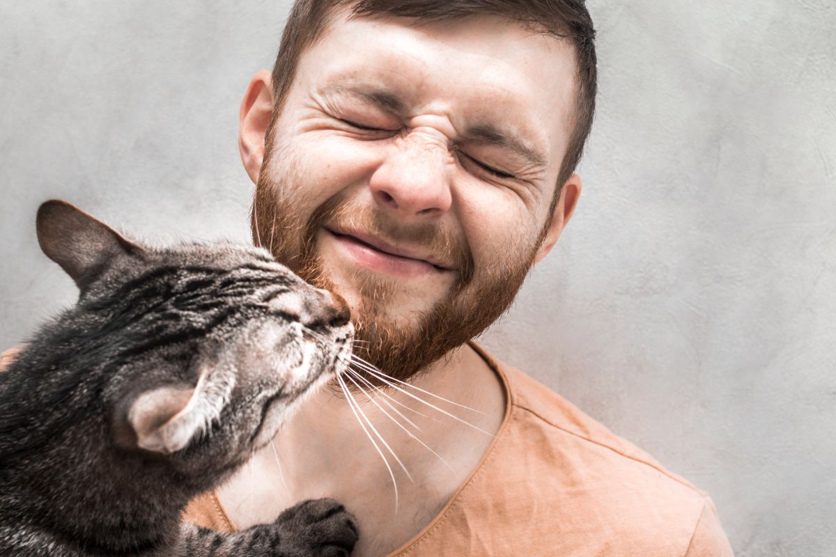 pourquoi mon chat me lèche